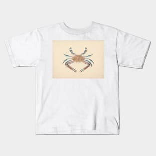 Portunua pelagicus (Blue Crab) by Luigi Balugani Kids T-Shirt